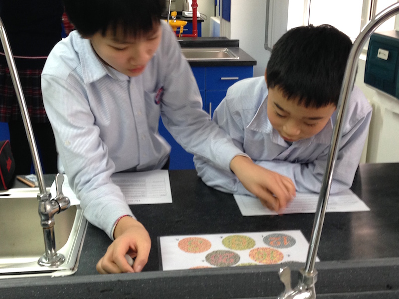 Making Sense of Our Senses