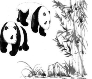 Welcome to the Panda Book Awards / 欢迎参与熊猫图书奖