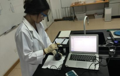 DP Biology Unites Fashion and Science