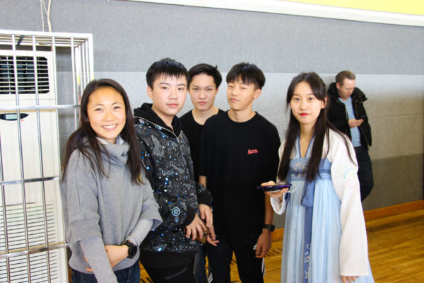 QAIS CNY 2019-82