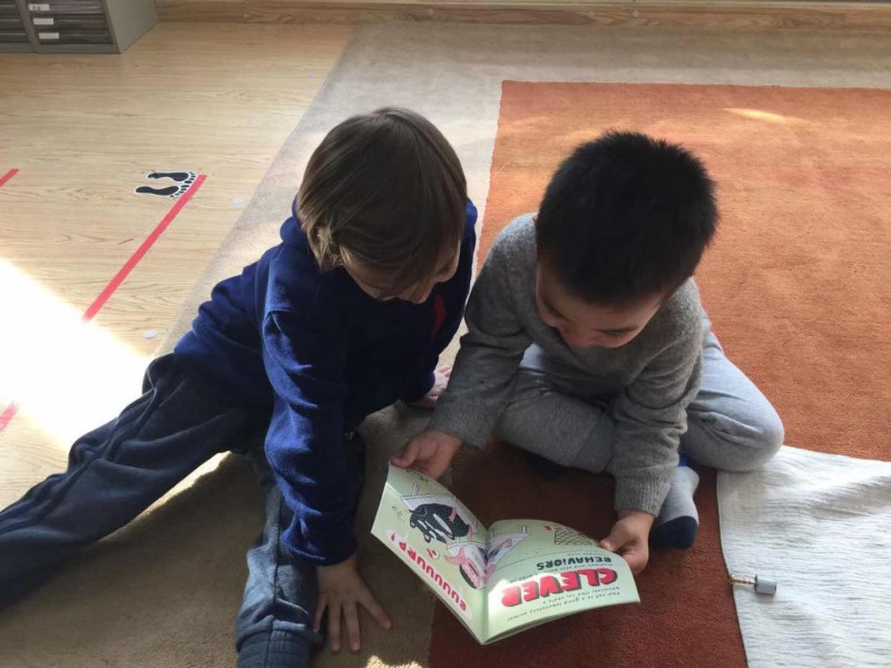 Drop Everything and Read
