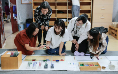 The Montessori Journey 