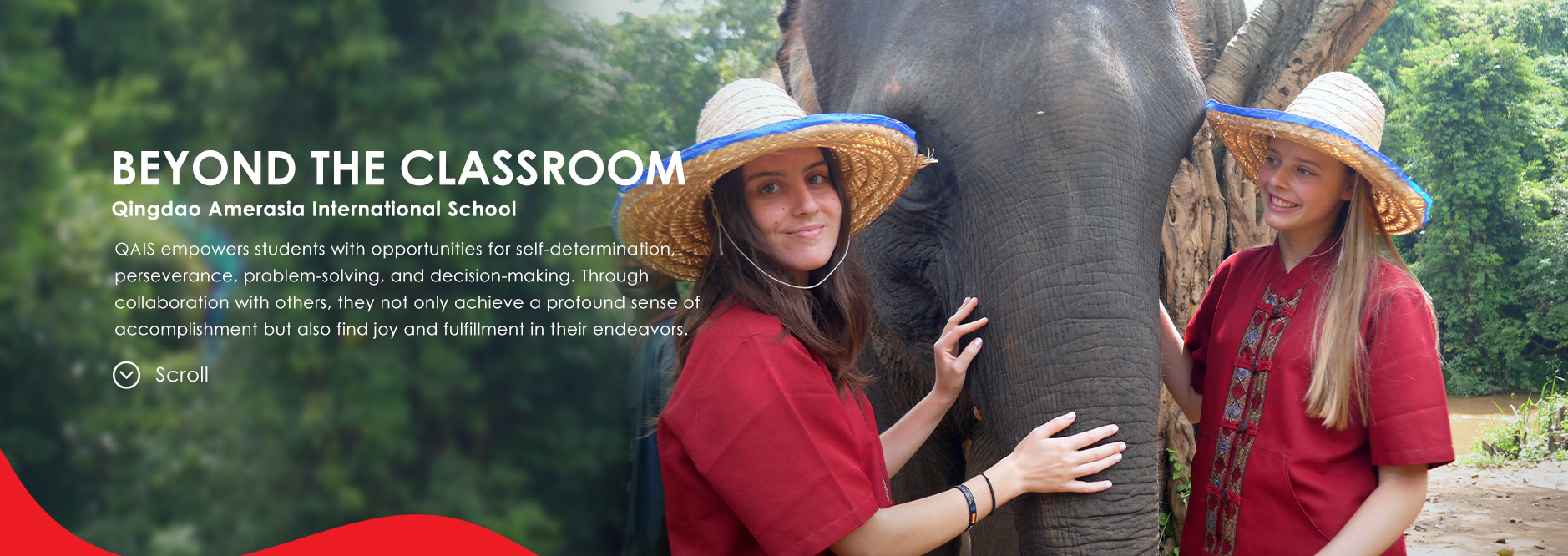 Students from an International School in Qingdao interact with an elephant during a cultural learning trip, showcasing QAIS’s focus on global experiences beyond the classroom.